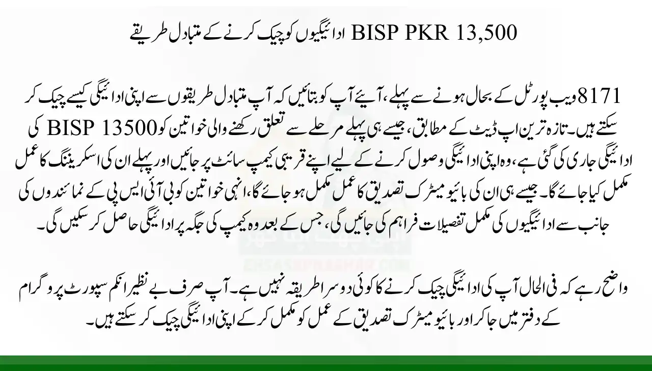 Alternative Methods To Check BISP PKR 13,500 Payments
