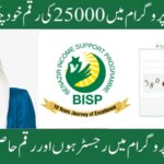 Complete Guide to Ehsaas Program Registration 2025 in Pakistan, ehsasapnaghar.com
