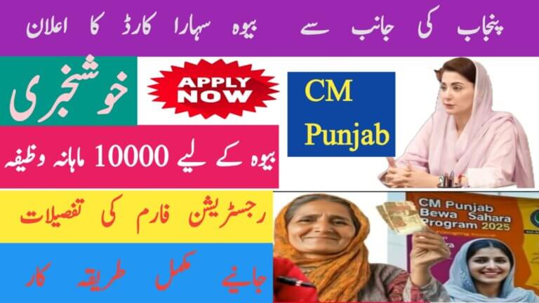 Punjab Social Protection Authority (PSPA) 2025 Latest Updates, ehsasapnaghar.com