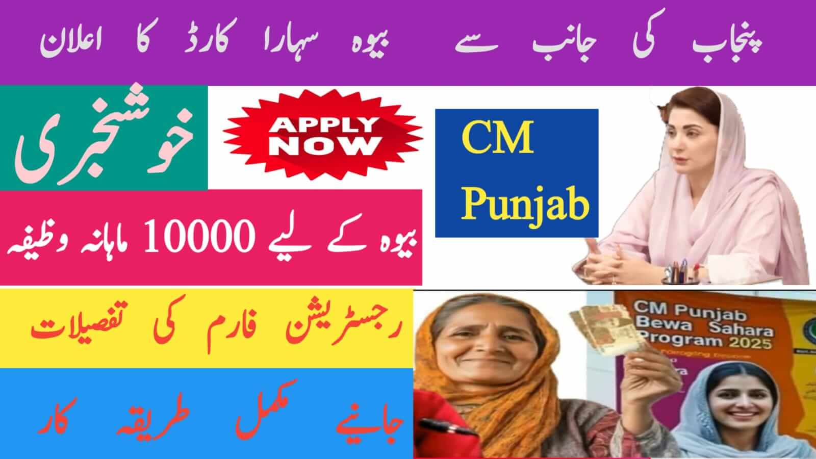 Punjab Social Protection Authority (PSPA) 2025 Latest Updates, ehsasapnaghar.com