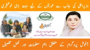 CM Punjab Launches Aghosh Program 2025 || A Lifeline for Mothers and Children, ehsasapnaghar.com