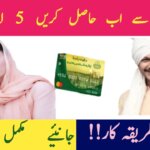 CM Punjab Kisan Card Scheme 2025 – Empowering Farmers with Interest-Free Loans, ehsasapnaghar.com
