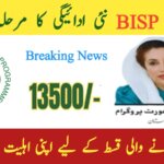 Benazir Income Support Program (BISP) June 2025 Update || Rs. 13,500 Payment Released – Apply & Check Now, ehsasapnaghar.com