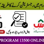 Ehsaas Programme 13,500 Payment Online Apply Latest Update 2025, ehsasapnaghar.com
