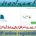 Good News BISP Payment Online Apply and Registration Started Full Guide 2025, ehsasapnaghar.com