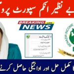 BISP Dynamic Survey 2025 || Complete Your Re-Verification Continue Receiving Payments, ehsasapnaghar.com