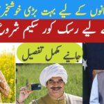 Punjab Government Launches Risk Coverage Scheme for Farmers Latest News, ehsasapnaghar.com