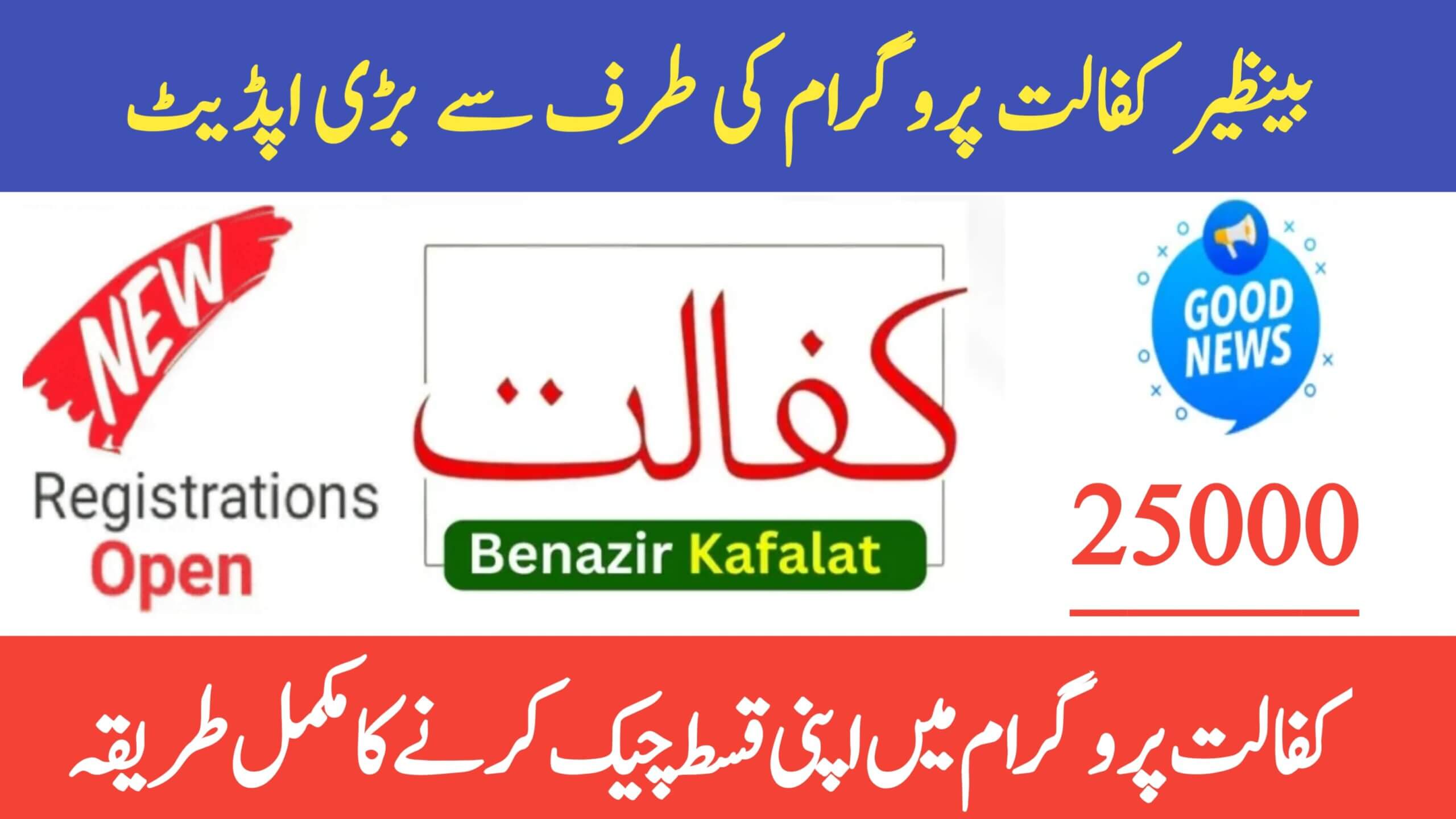 Benazir Kafalat Rs. 25,000 Payment 2025 || Complete Guide to Check Online Status, ehsasapnaghar.com