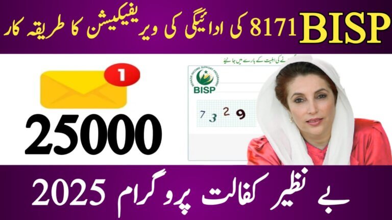 How to Check Your BISP 8171 Payment Status in 2025, ehsasapnaghar.com