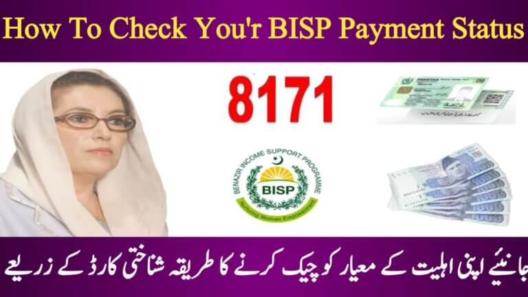Banazir Income Support Program || Check Payment Status Big Update, ehsasapnaghar.com