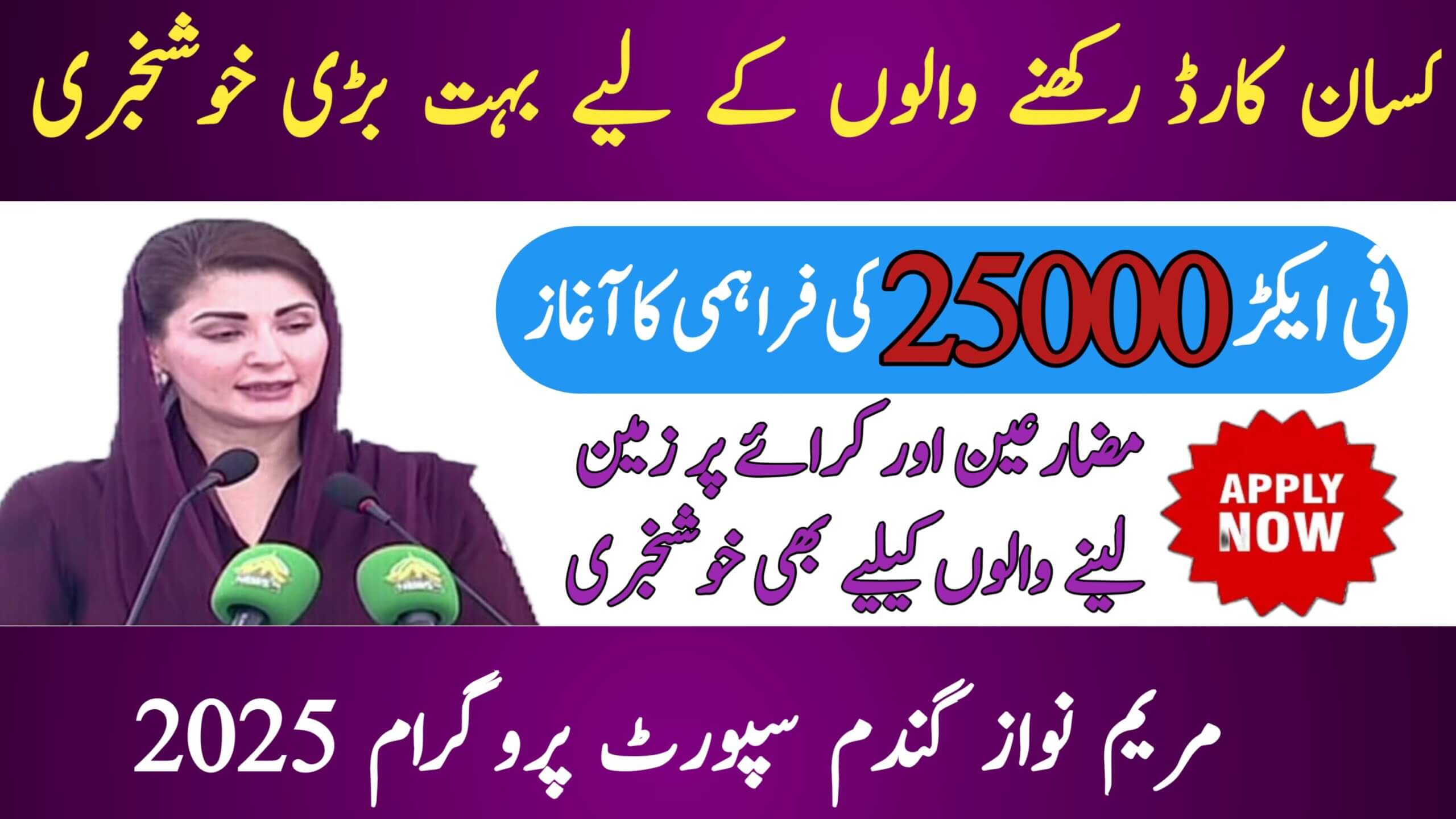 Maryam Nawaz Wheat Support Program 2025 || Farmers to Receive Rs. 25,000 for 5 Acres Under, ehsasapnaghar.com