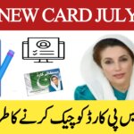 How to Check Your BISP Card and Payment Status in July 2025, ehsasapnaghar.com