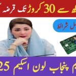 CM Punjab Loan Scheme 2025 || Full Details, Eligibility & July Updates, ehsasapnaghar.com