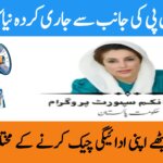Check BISP Payments Online from Home Latest System by 8171 Web Portal, ehsasapnaghar.com