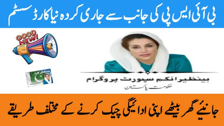 Check BISP Payments Online from Home Latest System by 8171 Web Portal, ehsasapnaghar.com