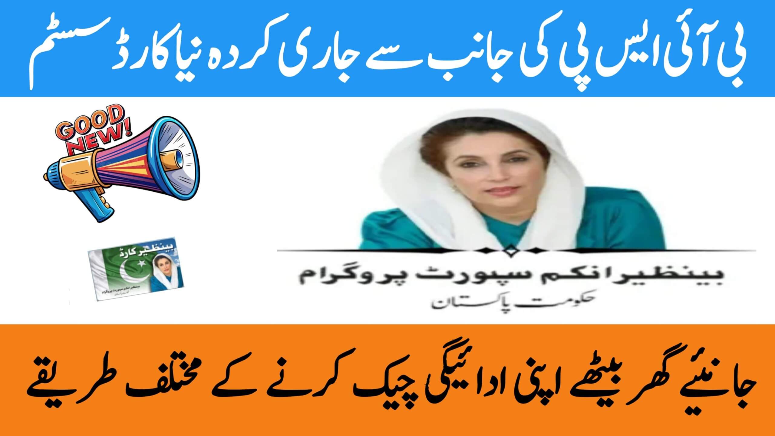 Check BISP Payments Online from Home Latest System by 8171 Web Portal, ehsasapnaghar.com