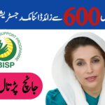 Banazir Income Support Program August Latest Update 2025,ehsasapnaghar.com