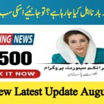 BISP 13,500 Payment August 2025 Update || Why You Are Not Being Included Again and What to Do, ehsasapnaghar.com