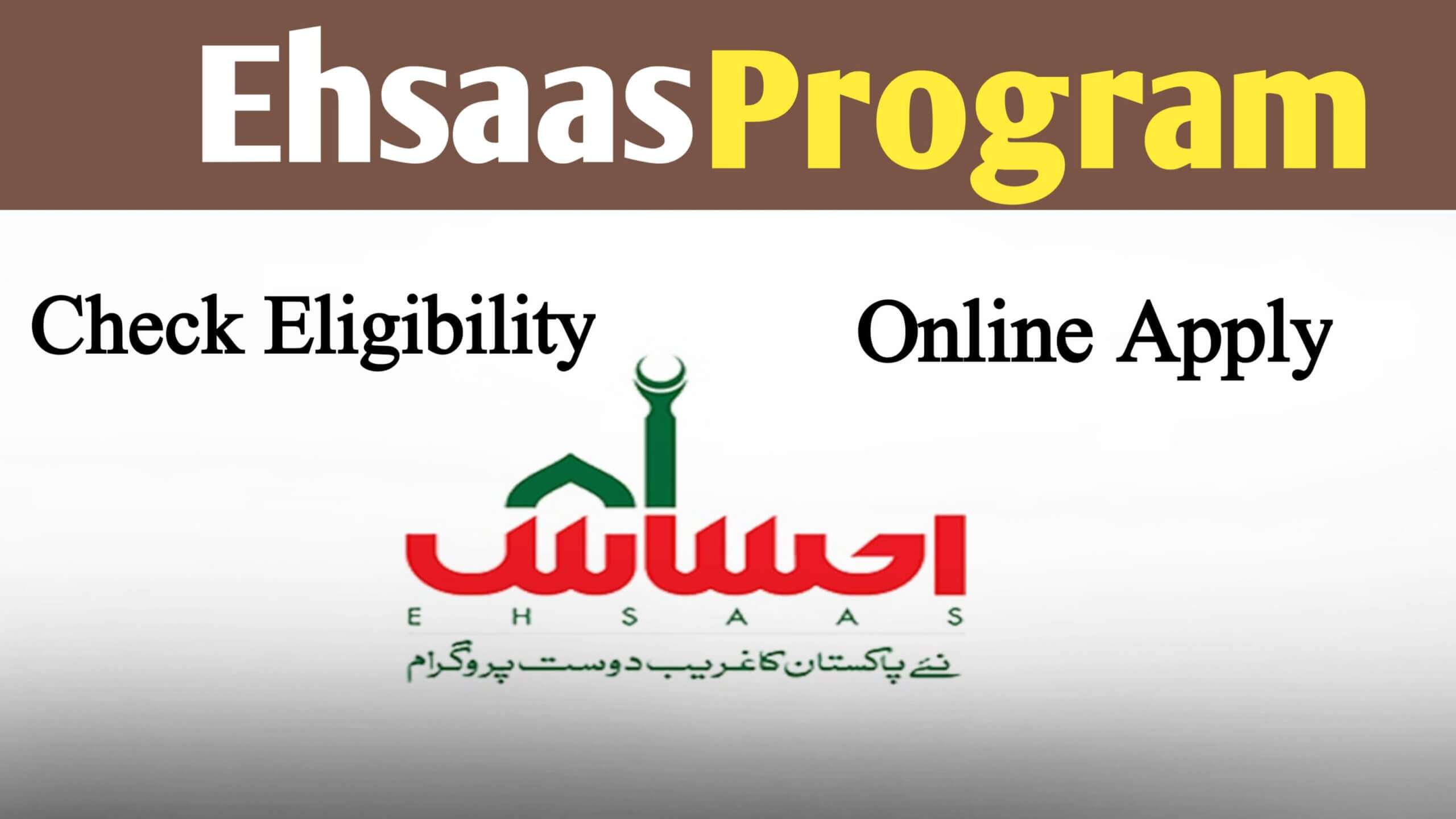 Ehsaas Program Check Eligibility And Apply Online August 2025 Update, ehsasapnaghar.com