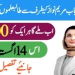 August 14 Student Grant Initiative || CM Announces Rs. 7,000 for Learners Across the Province, ehsasapnaghar.com