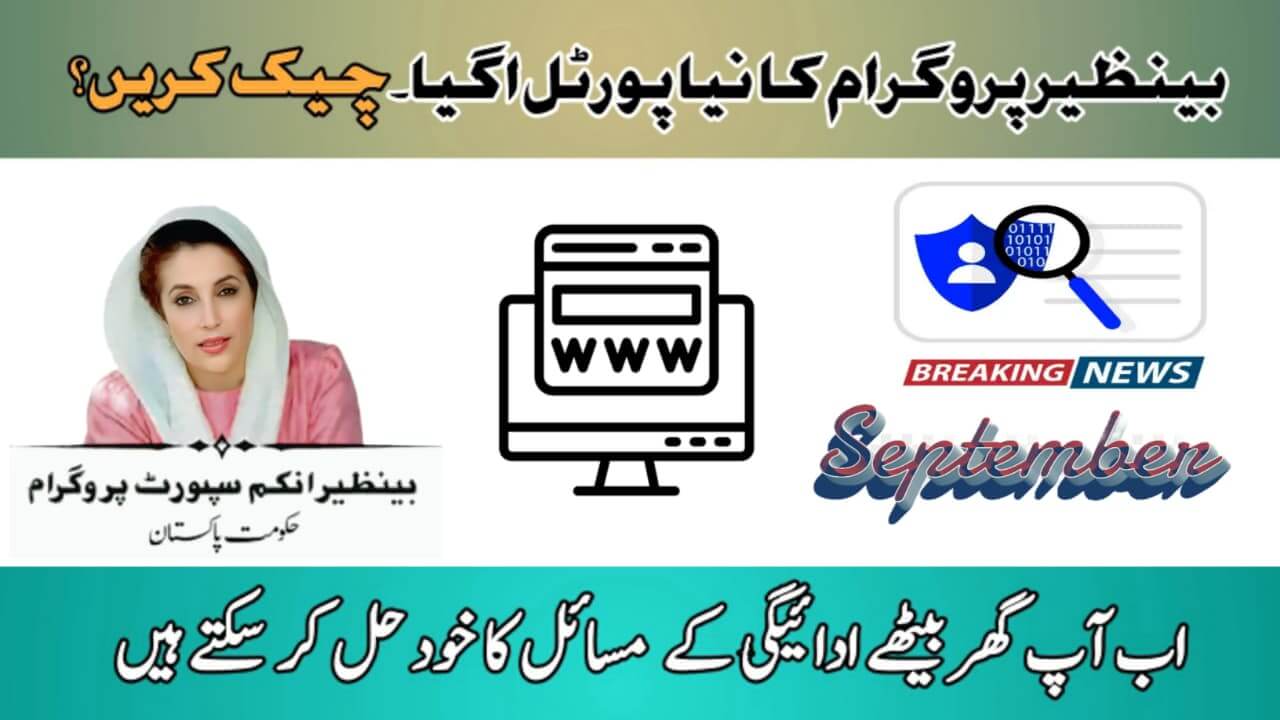 New BISP Online Portal 2025 || Check Payments, Eligibility, and Solve Issues at Home, ehsasapnaghar.com