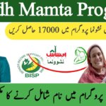 Sindh Mamta Program 2025