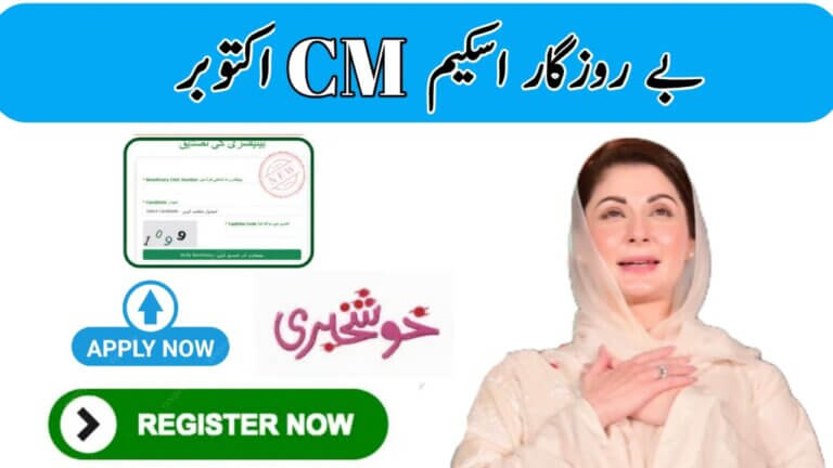 CM Punjab Byrozgar Scheme