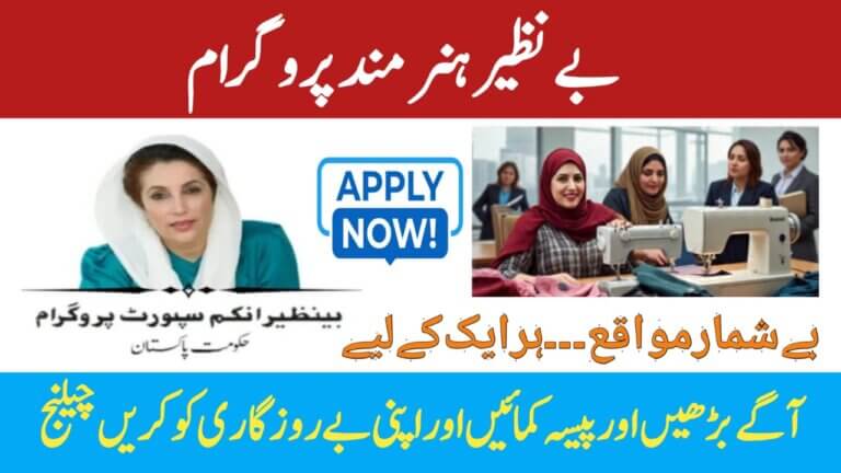 Benazir Hunarmand Programme 2025