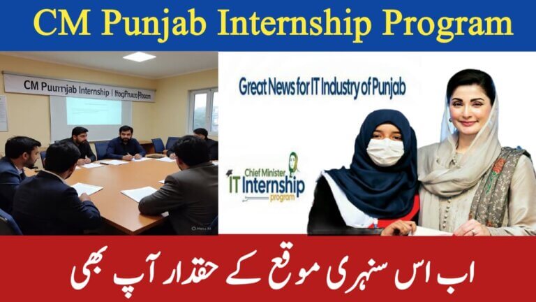 CM Punjab Internship