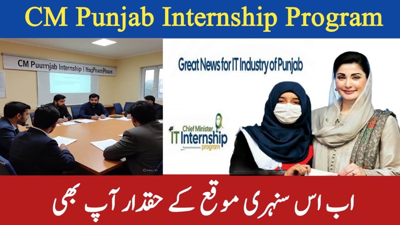 CM Punjab Internship
