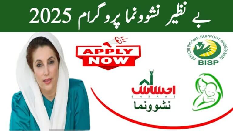 Benazir Nashonuma Program 2025