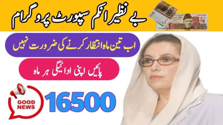 Benazir Income Support
