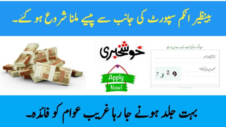 BISP Program
