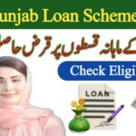 CM Punjab Loan Scheme