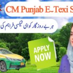 CM Punjab E-Taxi Scheme