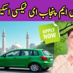 CM Punjab E-Taxi Scheme