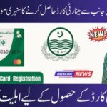 Minority Card Program