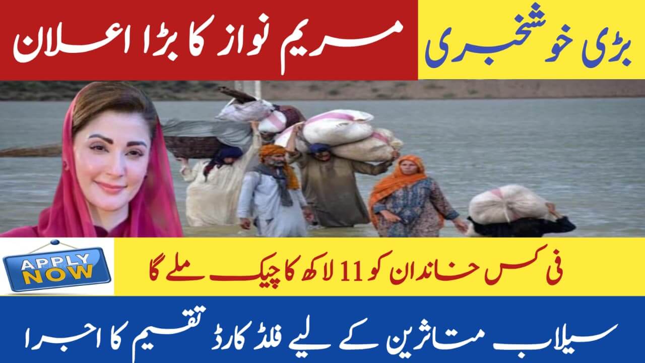 CM Punjab Launches Flood Relief Card 2025 || Get Rs. 25,000 Financial Aid Easily, ehsasapnaghar.com